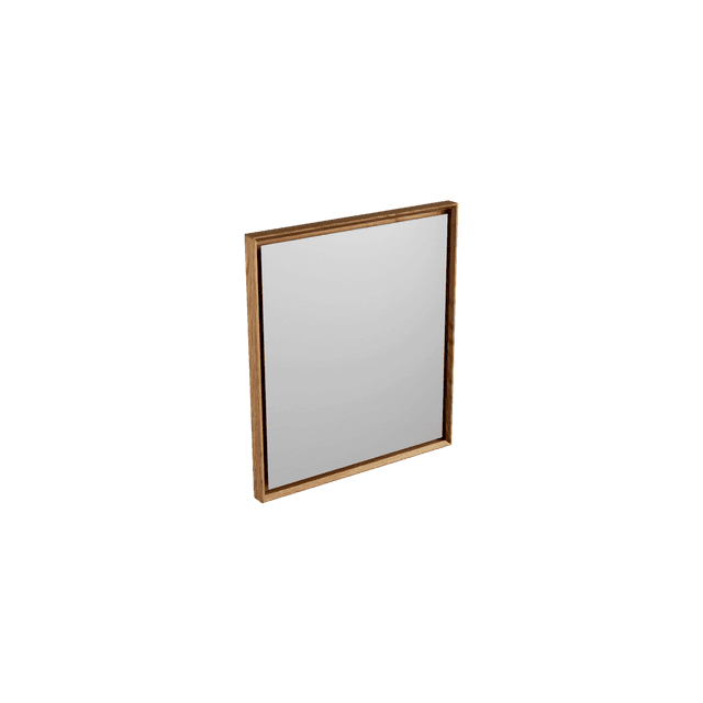 Arlo Mirror 800
