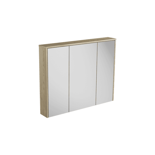 Frame Mirror Cabinet 1000